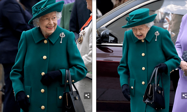 英国女王手变绿图片