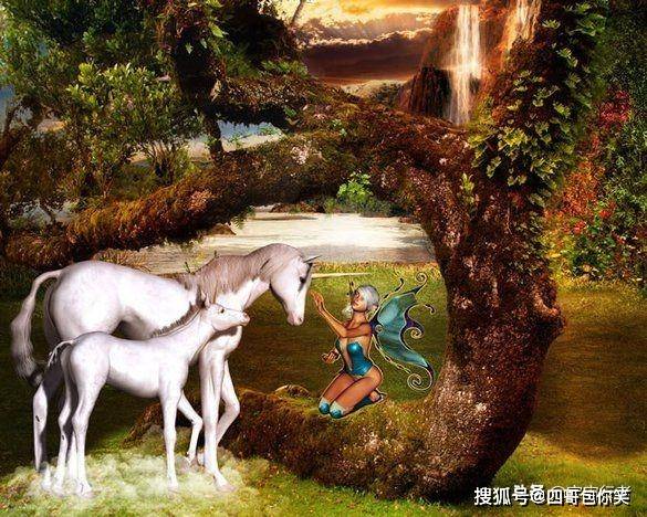 梦境奇缘，马与龙的交织——一场关于勇气与变革的深度解梦