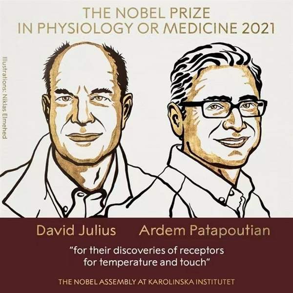 斯德哥尔摩|诺贝尔生理学或医学奖揭晓：两位科学家获奖、发现温度与触觉感