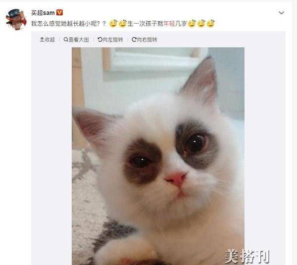 事件 粉丝别撕了!张嘉倪孟美岐同看秀衣品八成相似,都穿短靴秀美腿