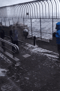 搞笑GIF:姑娘你這鬧哪樣，自己差點給自己鎖喉了 搞笑整蠱 第6张