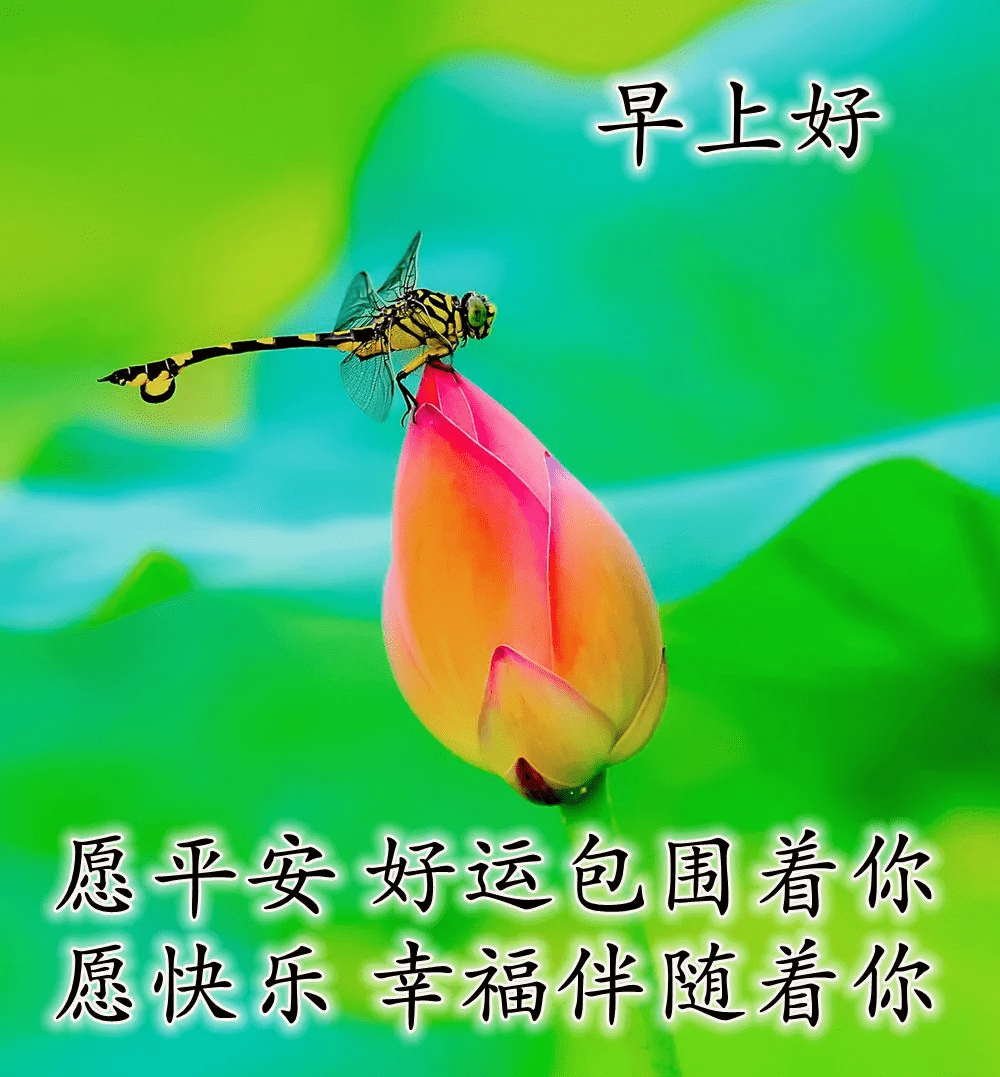 原创朋友圈最漂亮早安问候语温馨图片全新早上好图片感悟语录
