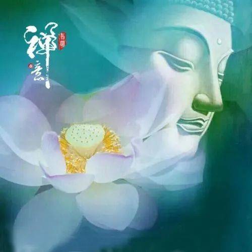 上天为什么不眷顾好人 看完茅塞顿开 功德 全网搜