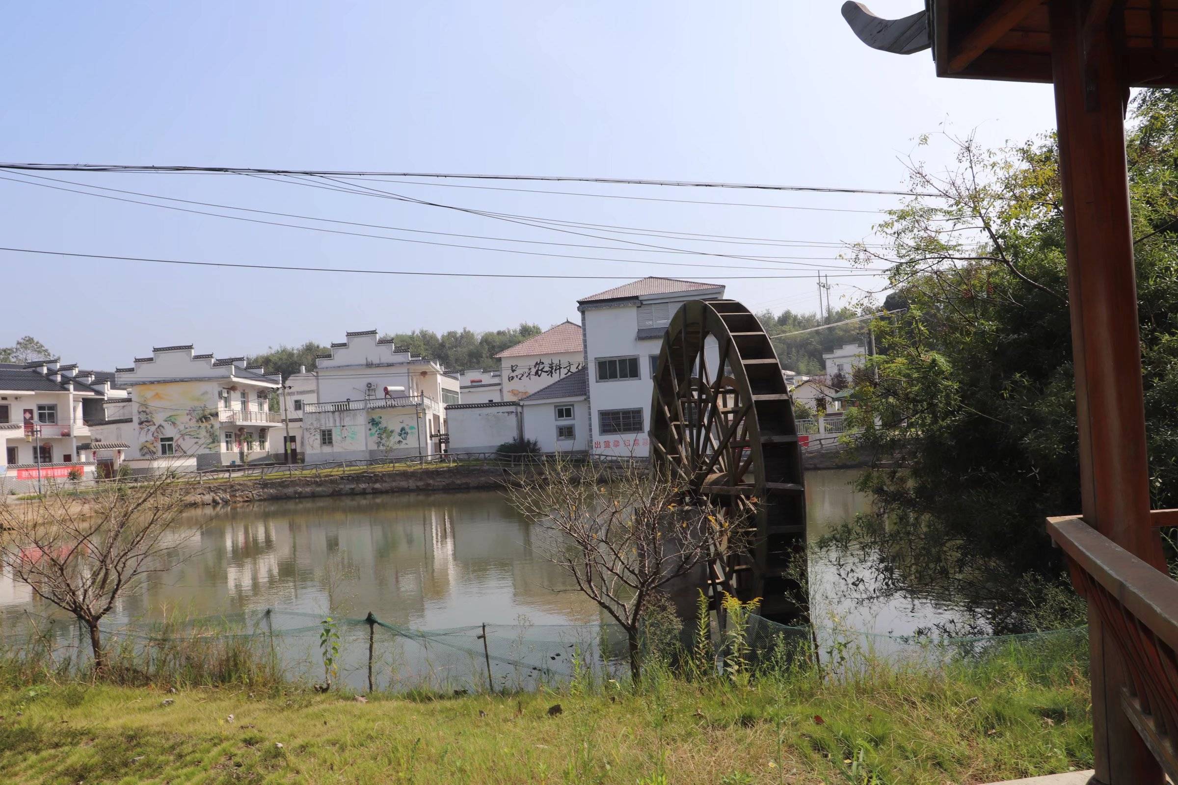 湖口流芳乡豆文化节活动