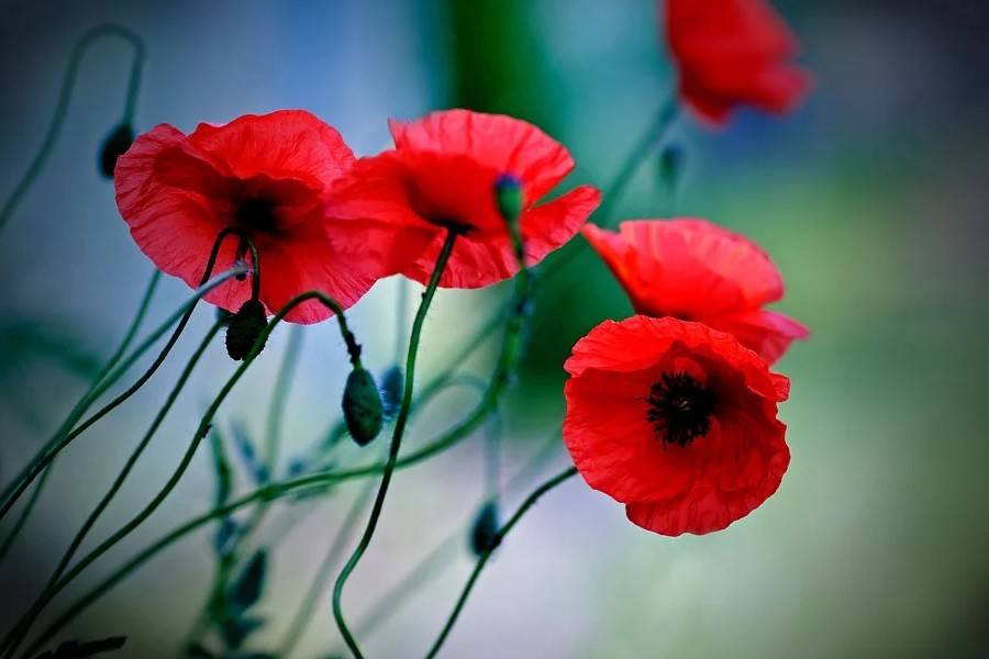 10月7日十二星座运势黑榜4 6名 金牛座 狮子座和水瓶座 生活