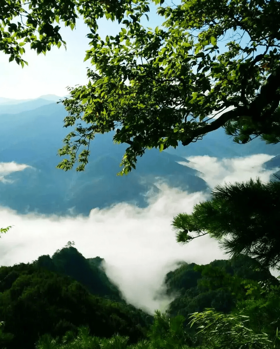 文化|安志宏：苍山深处待云归——白音山