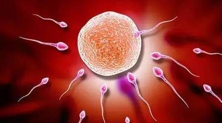 妇产医生|备孕的来看：排卵期跳绳，有助于排卵？听听妇产医生怎么说