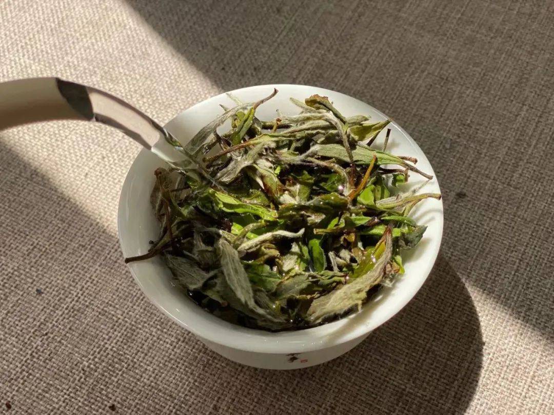 茶叶|为什么白茶泡了2次就淡了，耐泡度不如红茶和岩茶？真相来了