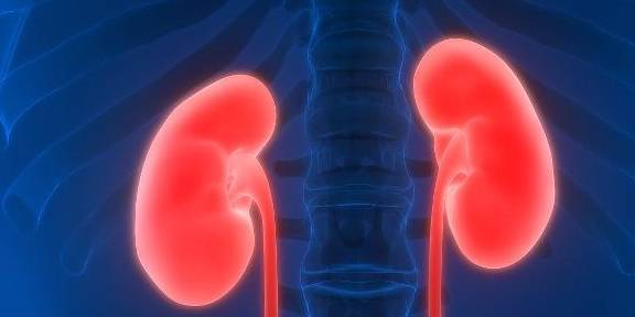 症状|肾功能下降有5个信号，早点发现，也不至于拖成肾衰竭
