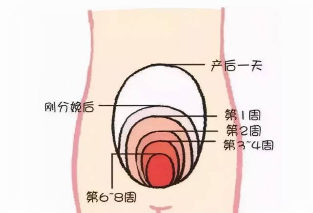 子宫|满月的朱珠分享坐月子“精髓”，产后状态好，网友：肉眼可见的瘦