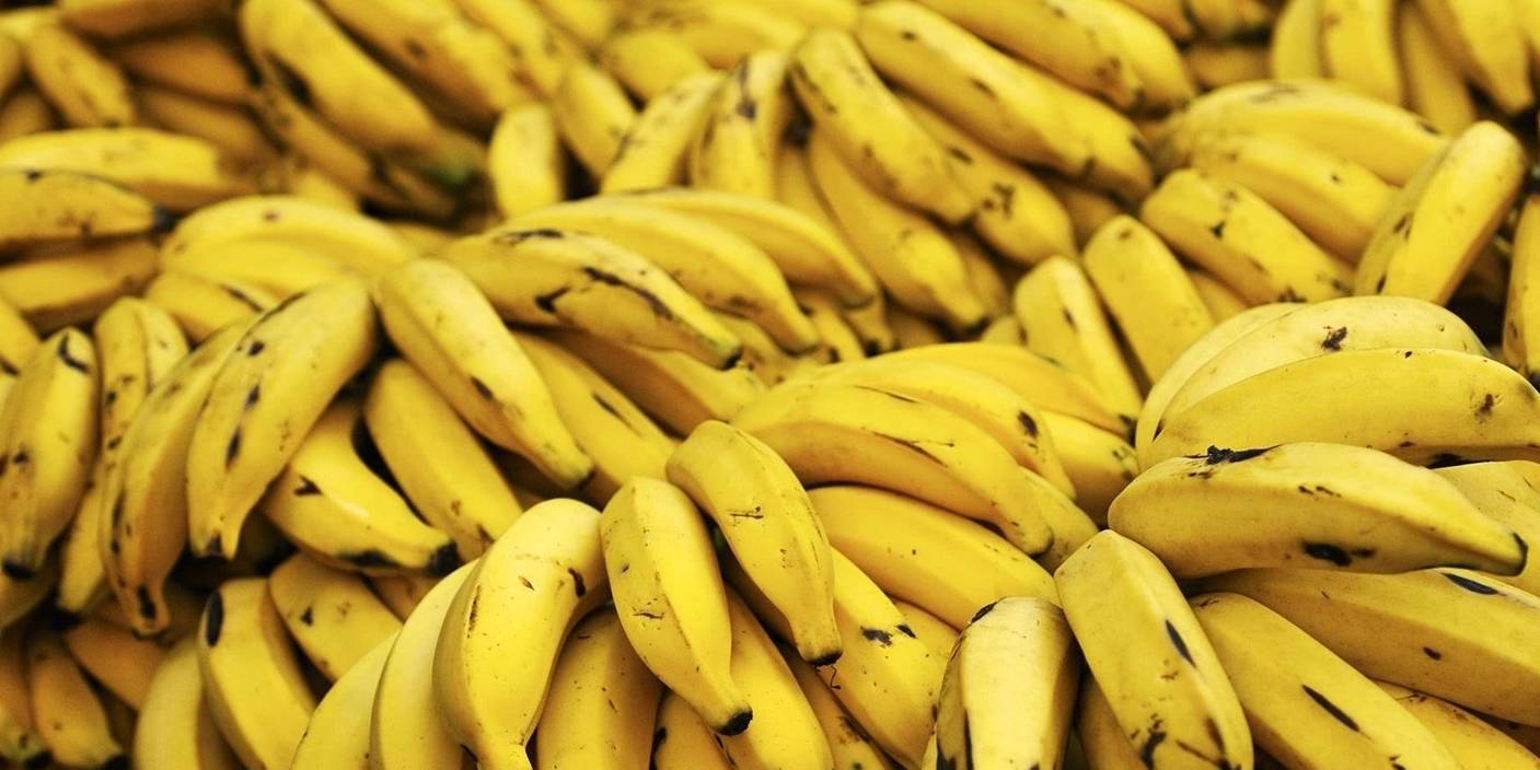 香蕉利便是真的么 怎么吃香蕉排便最快