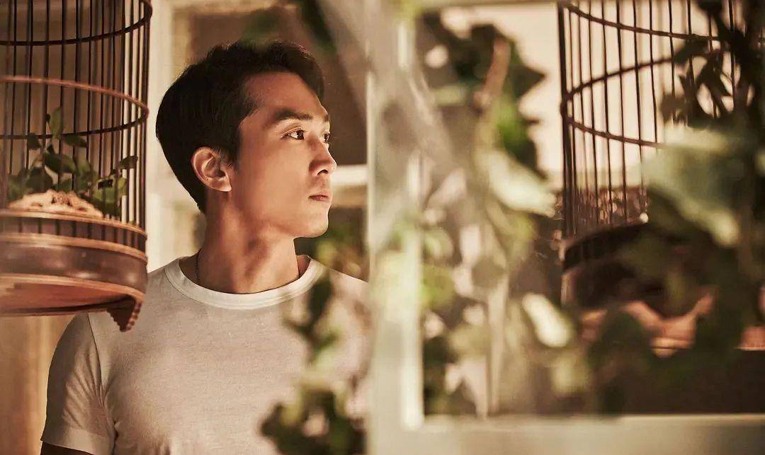 人间|解读宋承宪《人间中毒》,看顶级绿茶如何三步搞定地表最帅直男