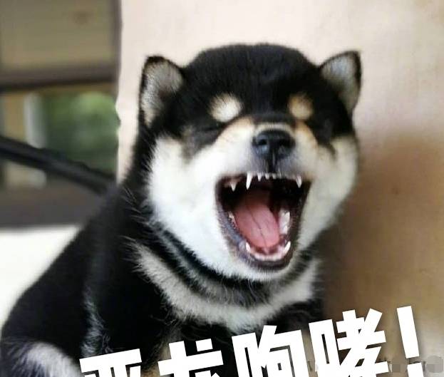 bd2b1676c38344f8b928c04df4f10b92.jpeg