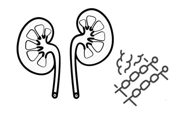 肾脏|为何偏偏尿毒症找上你？医生劝解：3个习惯若能避开，肾怎能坏