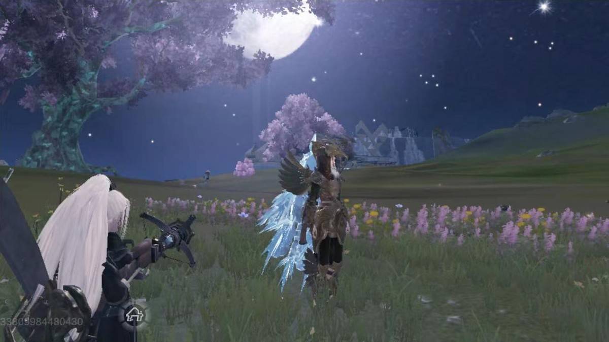 妄想山海四星游侠少鹄贬落凡间的天兵