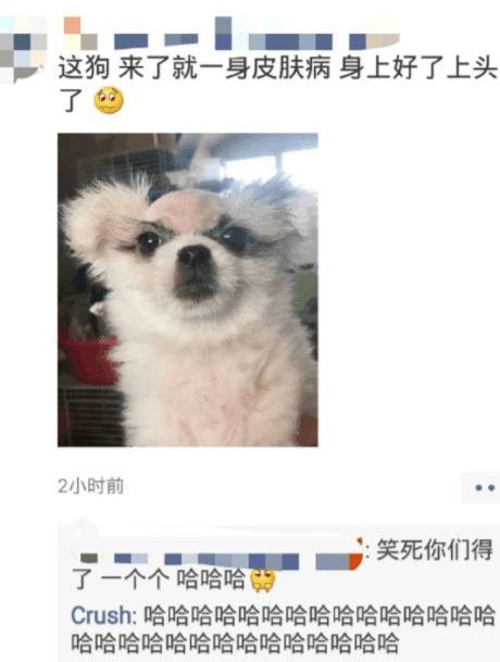 輕松一刻：一女同學要去日本，大家都在送行告別，一哥們突然說… 搞笑整蠱 第8张
