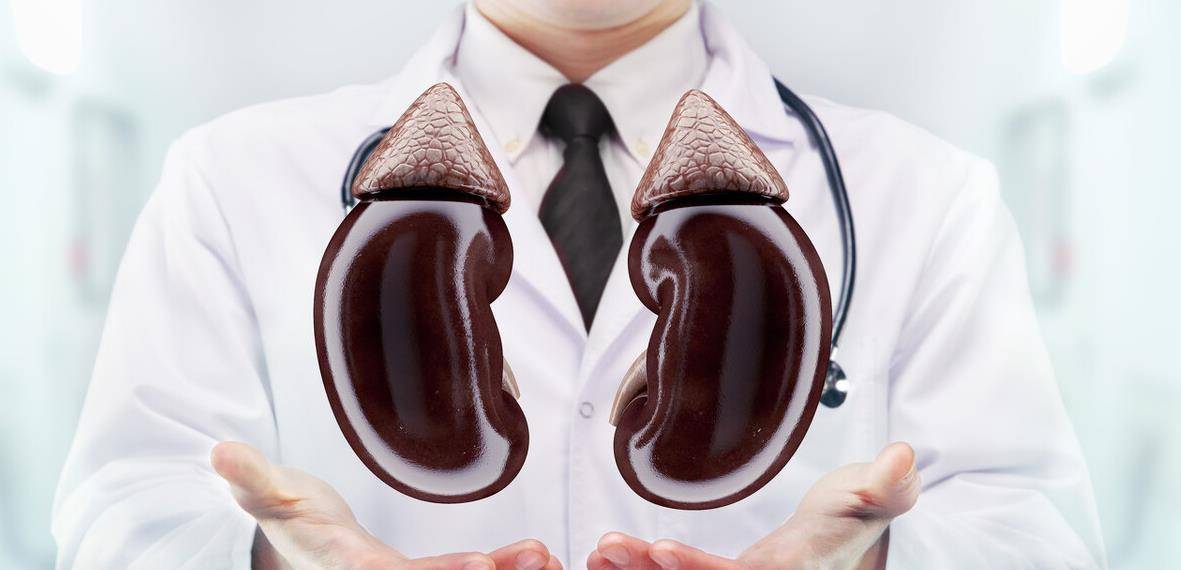 治疗|肾虚不代表是肾病!从5个方面来辨别,以免补肾不成“伤”了肾