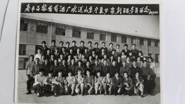 葡萄|你知道宁夏的第一瓶干红葡萄酒是怎么诞生的吗？