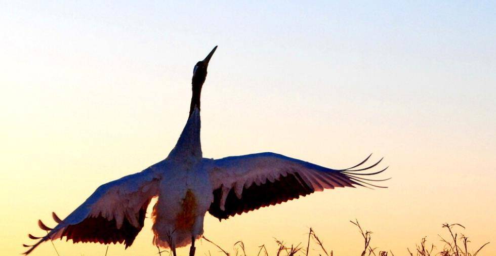 控制|糖尿病人血糖波动大，怎样才能够让血糖降下来？糖友有好方法分享