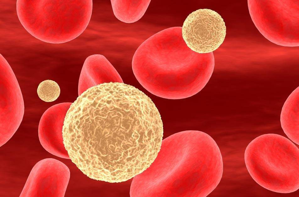 什么|糖尿病病人血脂高了怎么办,降到什么水平比较安全?