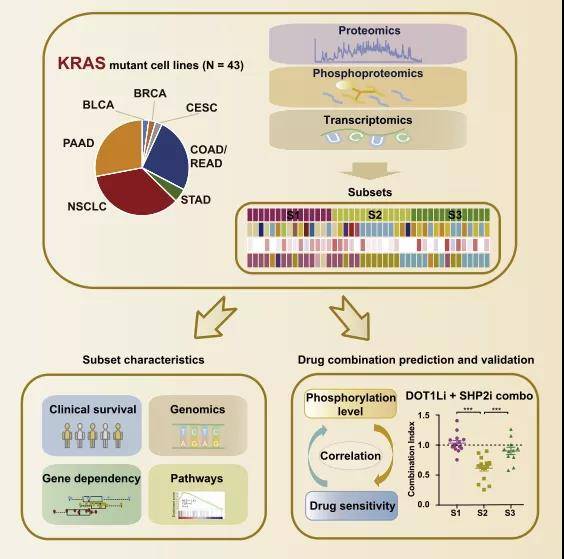 什么叫分子分型 fbeff015b302429396b982e2644b98db.jpeg