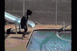 1c29c30dea6042e5ae9122ec0a64edfa.gif