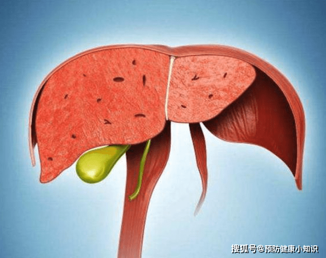 肝脏|这些做法对肝不好，很多人还在做，建议大家尽量改掉