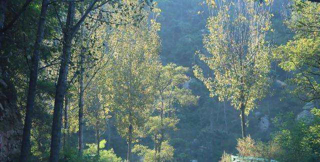 探秘沂山林场，发现很多老房子，景色之美难掩岁月沧桑