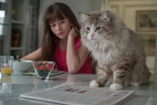 事件|当年在电影院错过了他们，是幸运还是遗憾