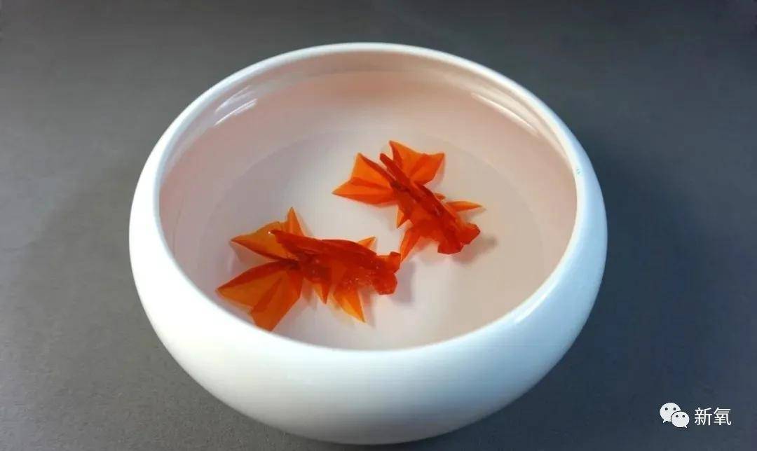 出圈陈晓得了折纸界奥斯卡大奖，这也太绝了吧！