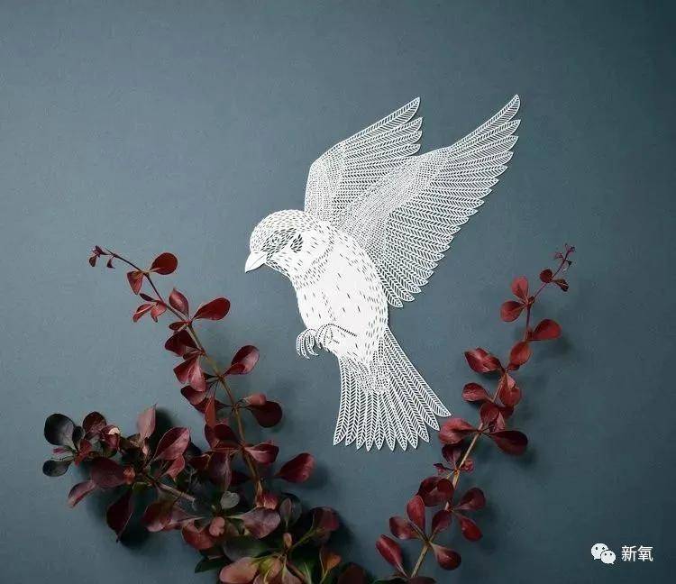 出圈陈晓得了折纸界奥斯卡大奖，这也太绝了吧！