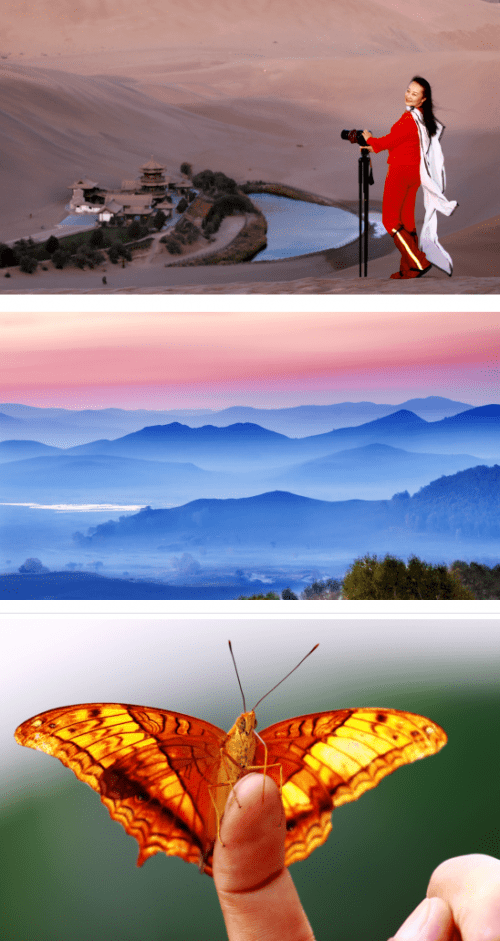 1eecd2abb58649588e3dafe56171da35.png