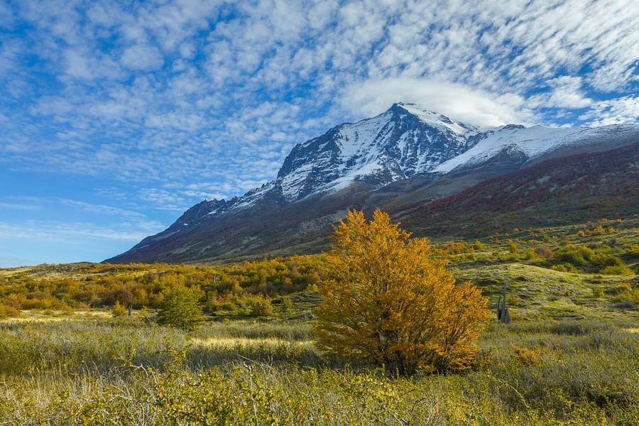 10月12日十二星座運勢黑榜上 金牛座 巨蟹座和水瓶座 生活 中國熱點