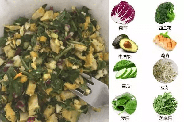 体能|WildFieldHealth|模特是如何在低卡饮食下保持健康与体能的？