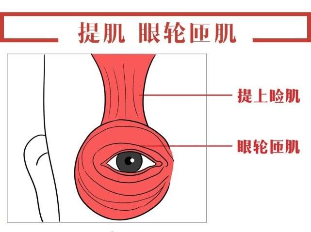 什么是“眼综合”手术？手术贵不贵，到底需要多少钱？