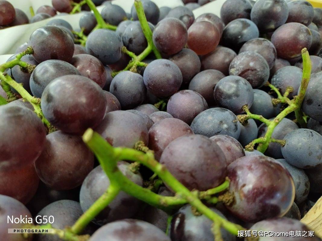 诺基亚 G50评测：5G入门手机的标杆性产品