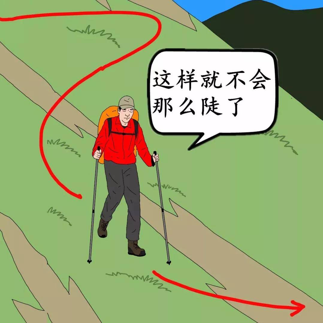 髋关节|重阳一起爬山吗？不是1秒下山的那种