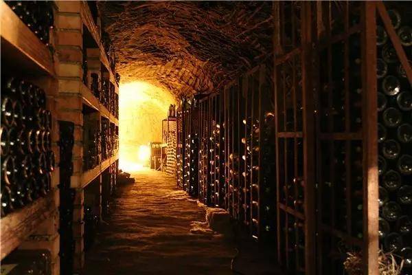 温度|涨知识|红酒该怎么放才不影响口感？