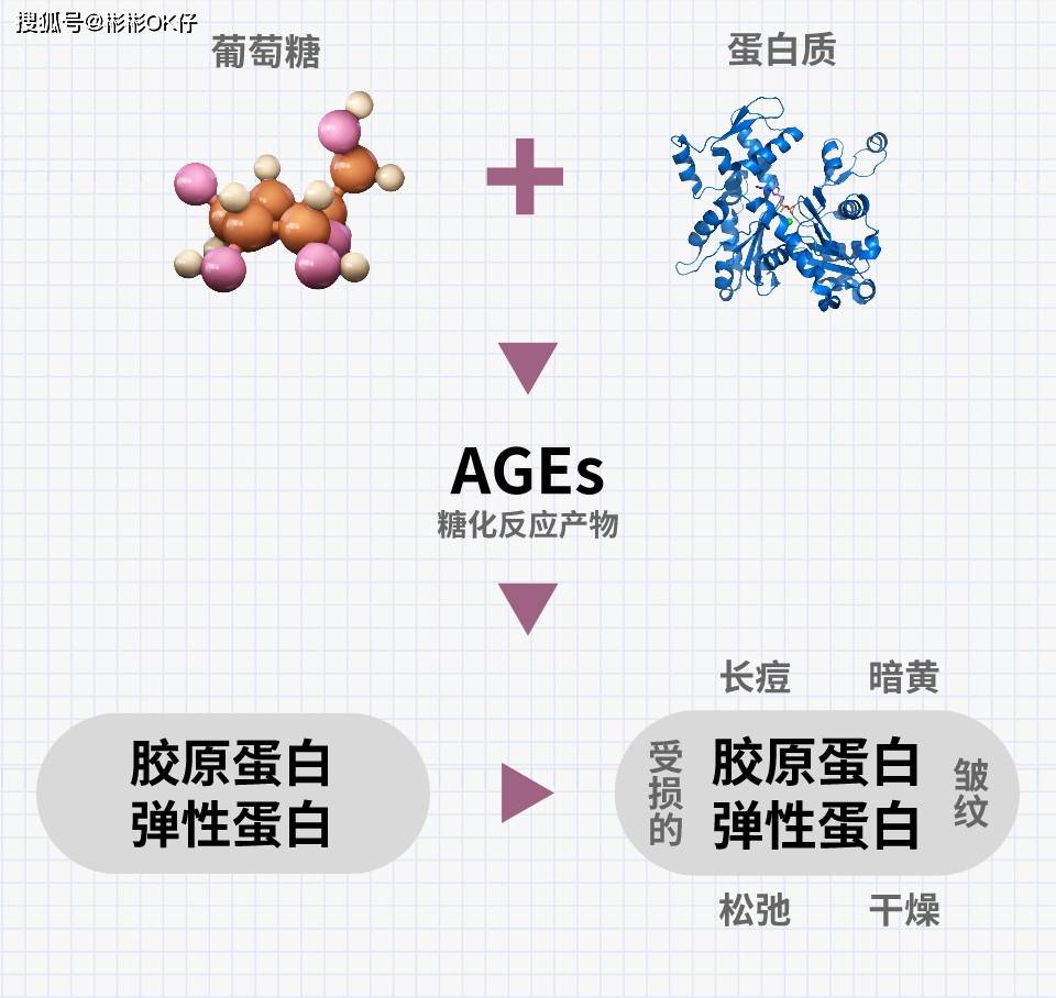 一类是对身体有益的,在酶的作用下发生的糖化反应,能生成糖蛋白,能