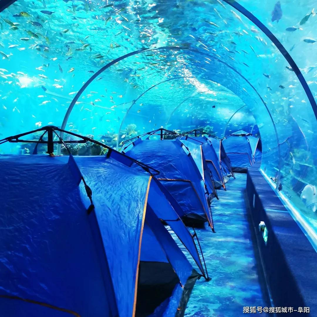 尧泰汉海海洋公园新体验，海底露营惊喜多多!