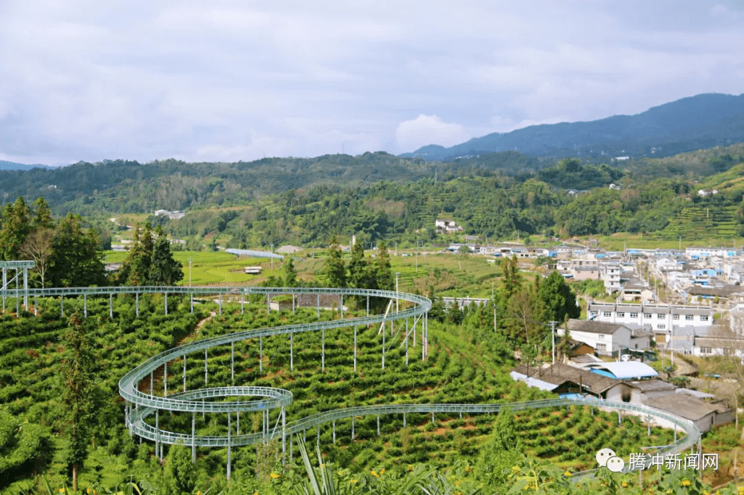 茶园|腾冲周边游丨蒲川清河又有新“趣”处