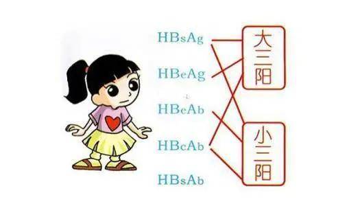 復查|乙肝兩對半檢查中，1345陽性是乙肝要轉陰的信號嗎？