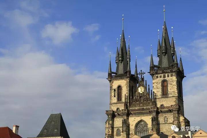 坚持梦想,圆梦于鹿特丹伊拉斯姆斯大学