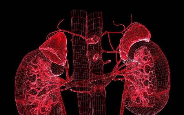 毒素|“糖尿病”患者3个表现，或许是走向“尿毒症”的信号，早知早好