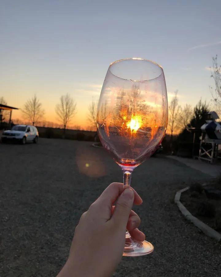 植物|欧洲小国摩尔多瓦,除了葡萄酒,还有野马郁兰精油