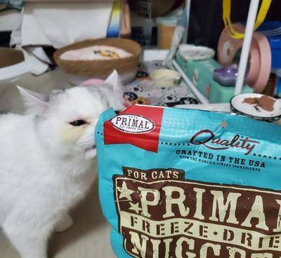 瑞萌|小猫到新家不吃饭,准备好这些猫零食,2021猫零食推荐