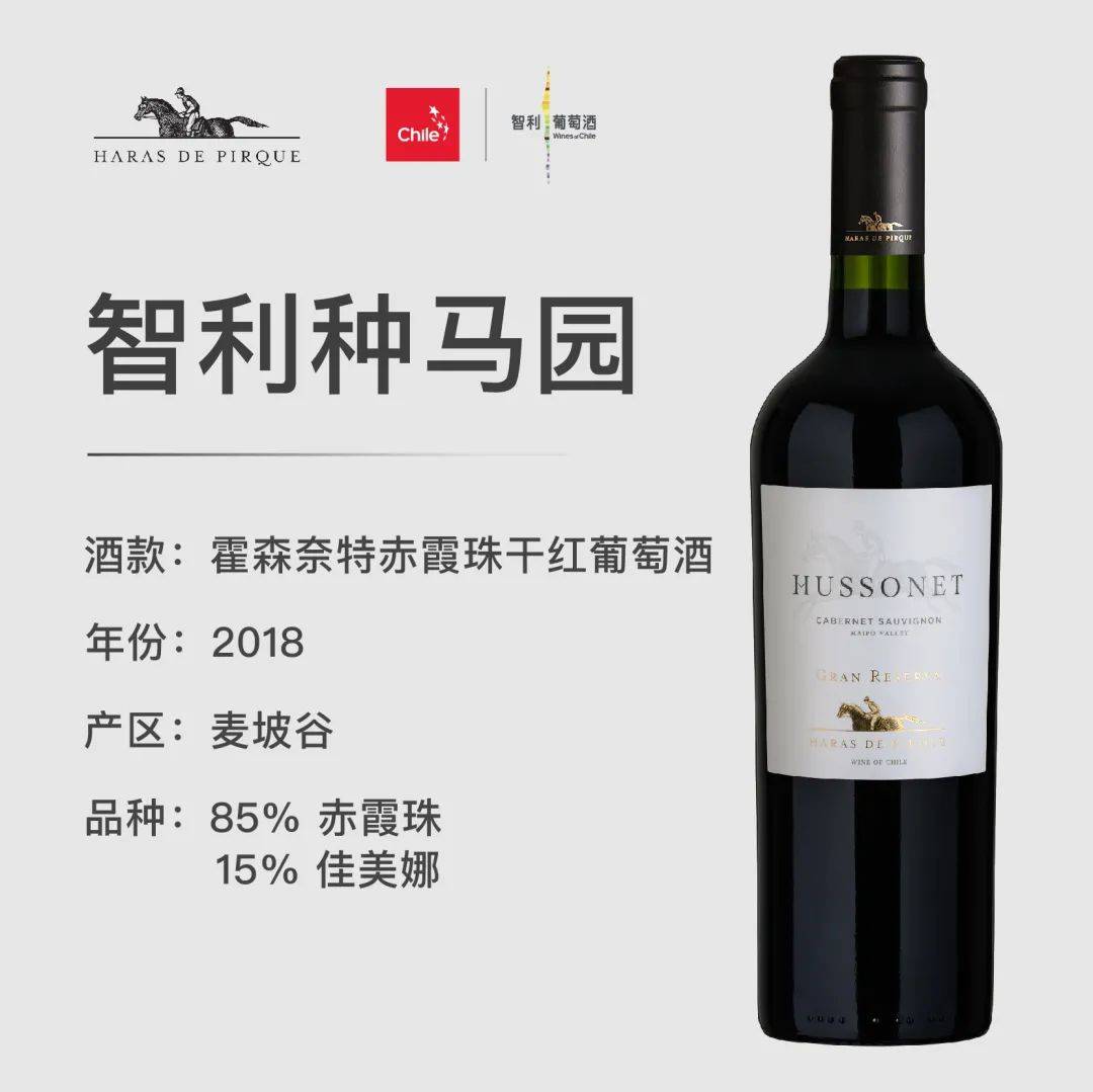 Wine|智利葡萄酒大师班来啦！与葡萄酒大师朱简一起品鉴佳酿