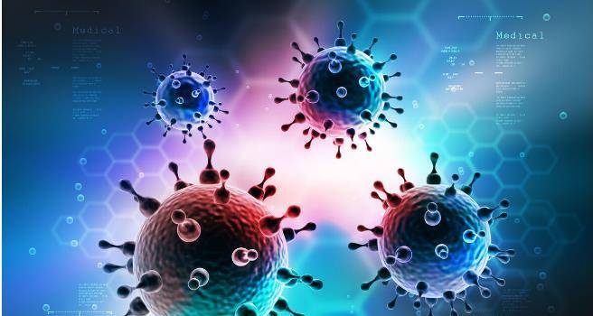 血清|尿白细胞增多是尿路感染还是肾炎？