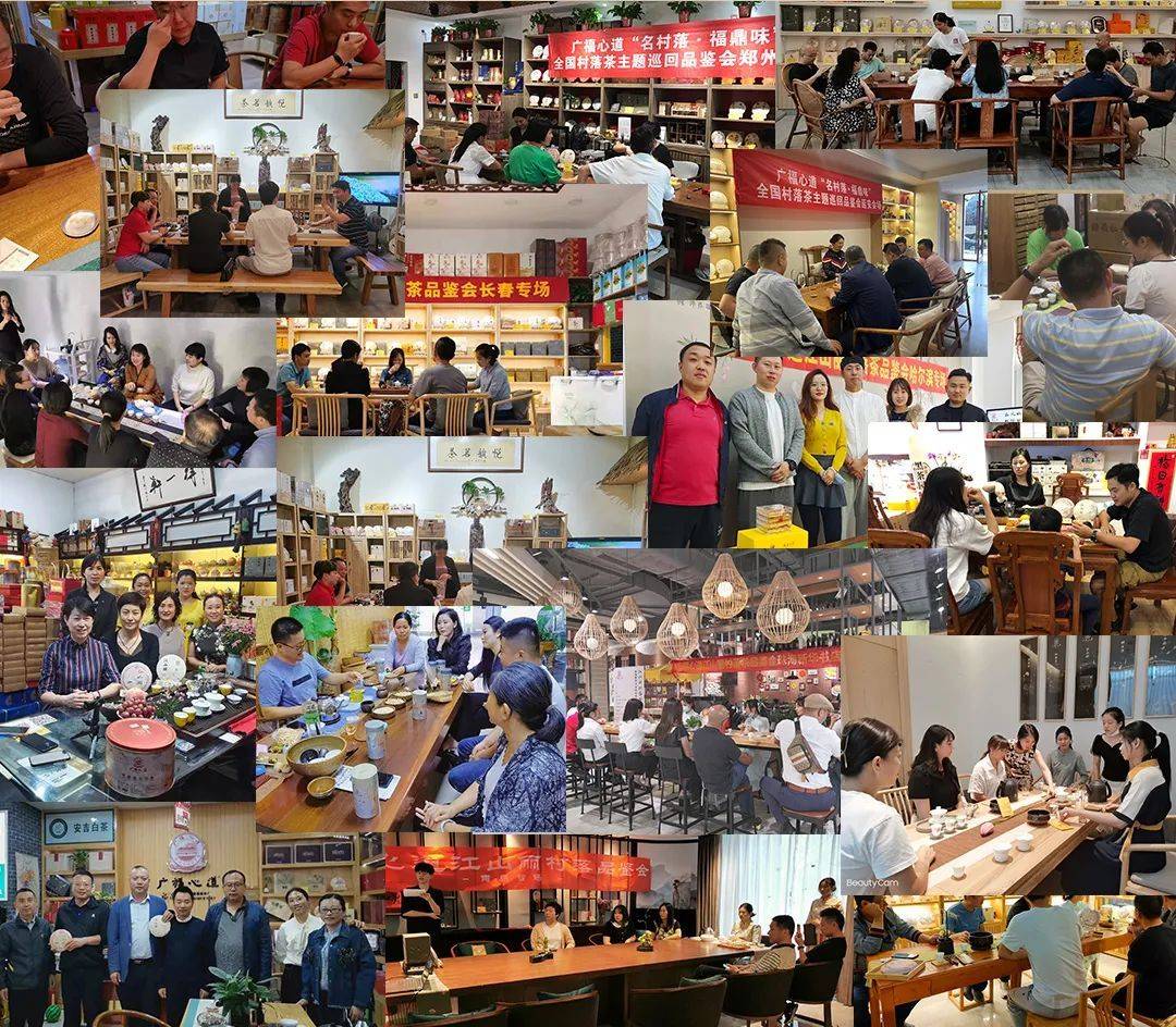 聚焦广州国际茶产业盛会，心道好白茶荣选为“大会纪念茶”！(图21)