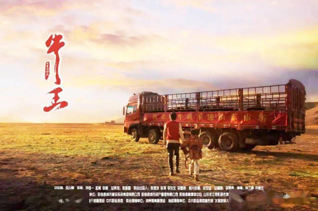 山东|《牛王》：高原的牦牛很牛，和牛有关的这些人这些事更牛